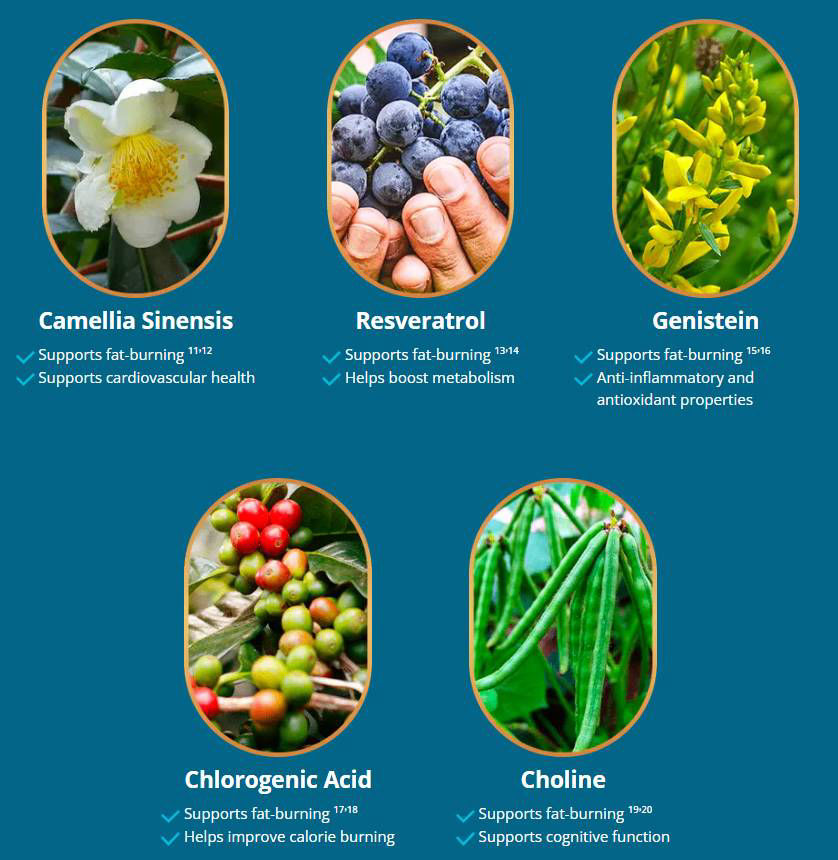 Liv-Pure-supplement-facts
